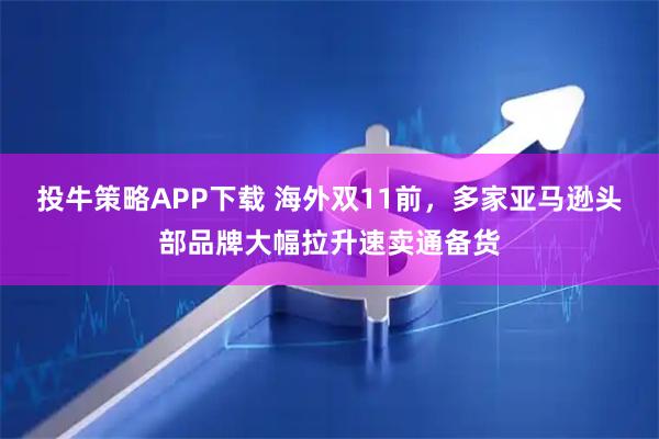 投牛策略APP下载 海外双11前，多家亚马逊头部品牌大幅拉升速卖通备货